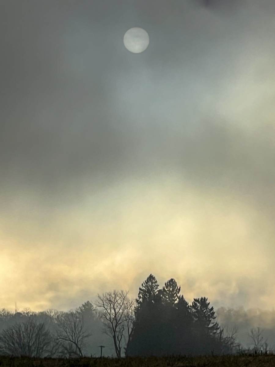 Christmas Fog by Indy Beck, Image 1.