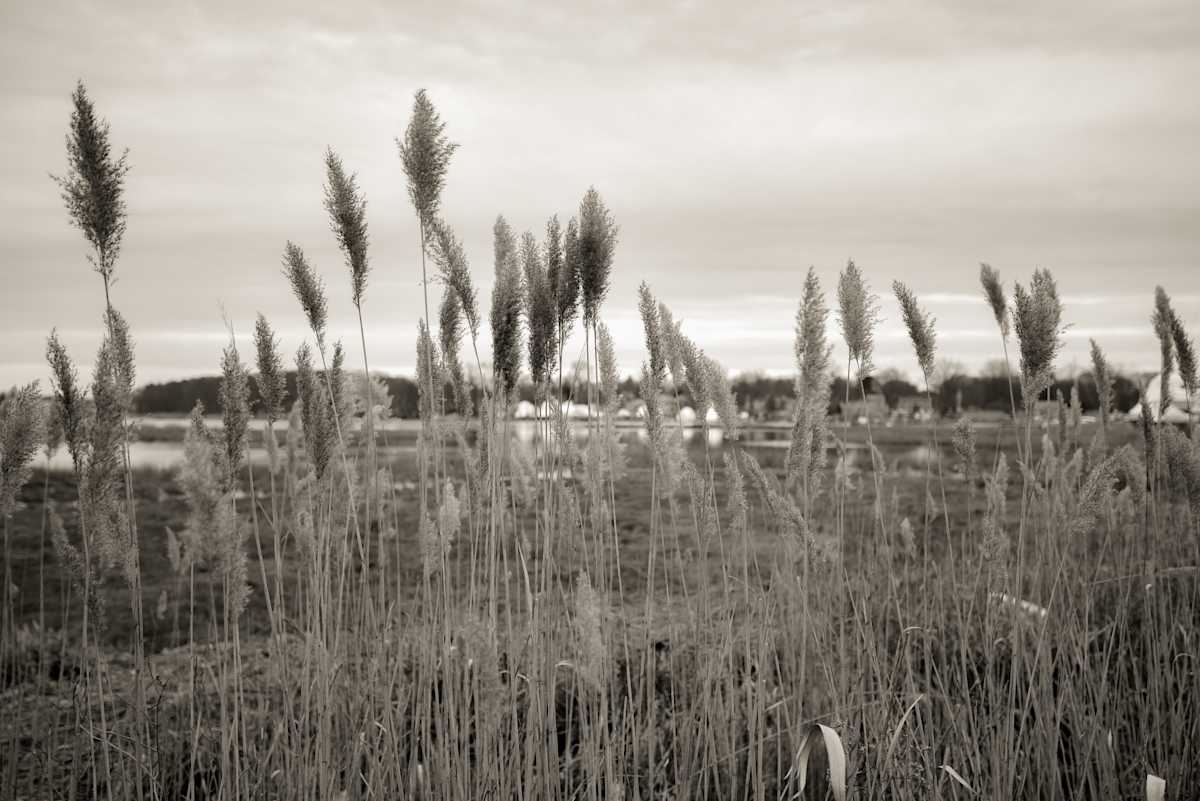 Winter At The Long Island Sound by Indy Beck 