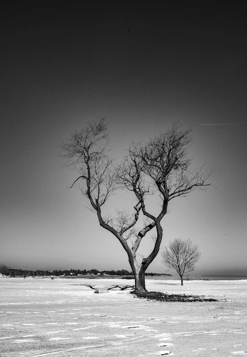 Standing Up to Winter by Indy Beck 