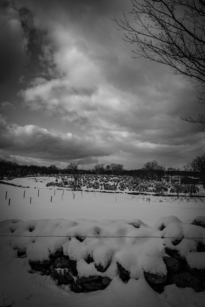 Storm Coming by Indy Beck, Image 1.