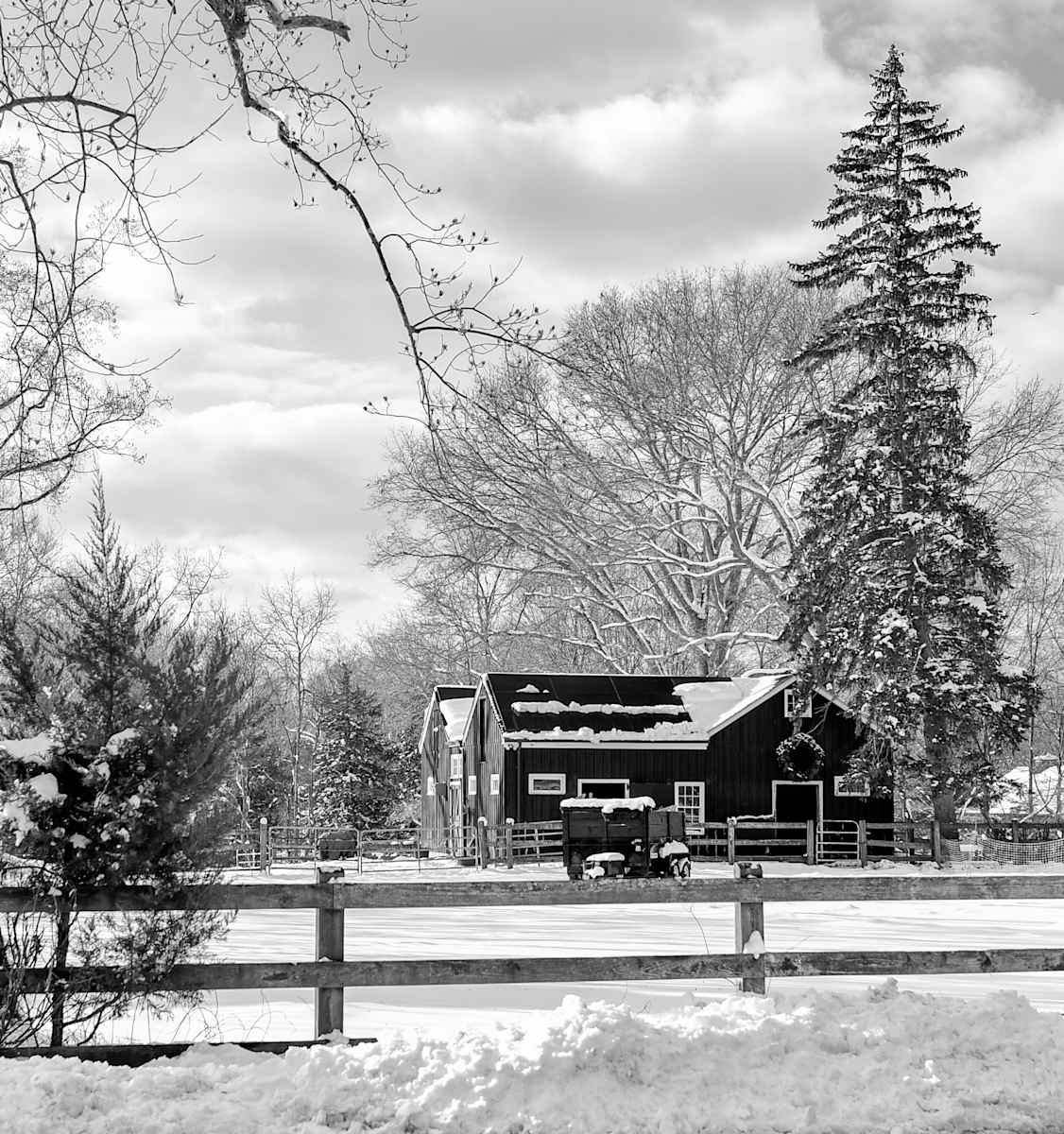 Snowfall on the Farm by Indy Beck  Image: Snowfall on the Farm
Westport, CT
11X14 print; 16X20 frame
Metallic Rag