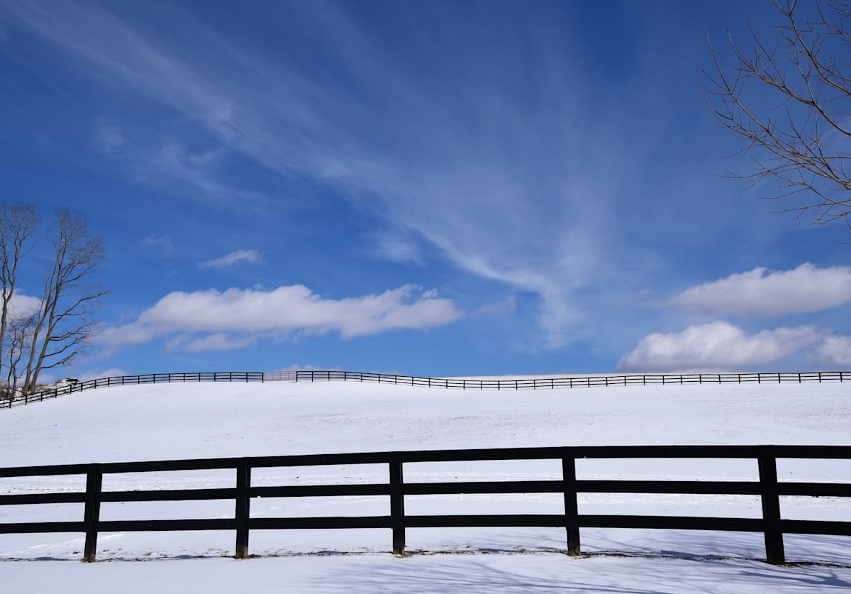 Bluebird Sky Over Winter Farm by Indy Beck, Image 1.