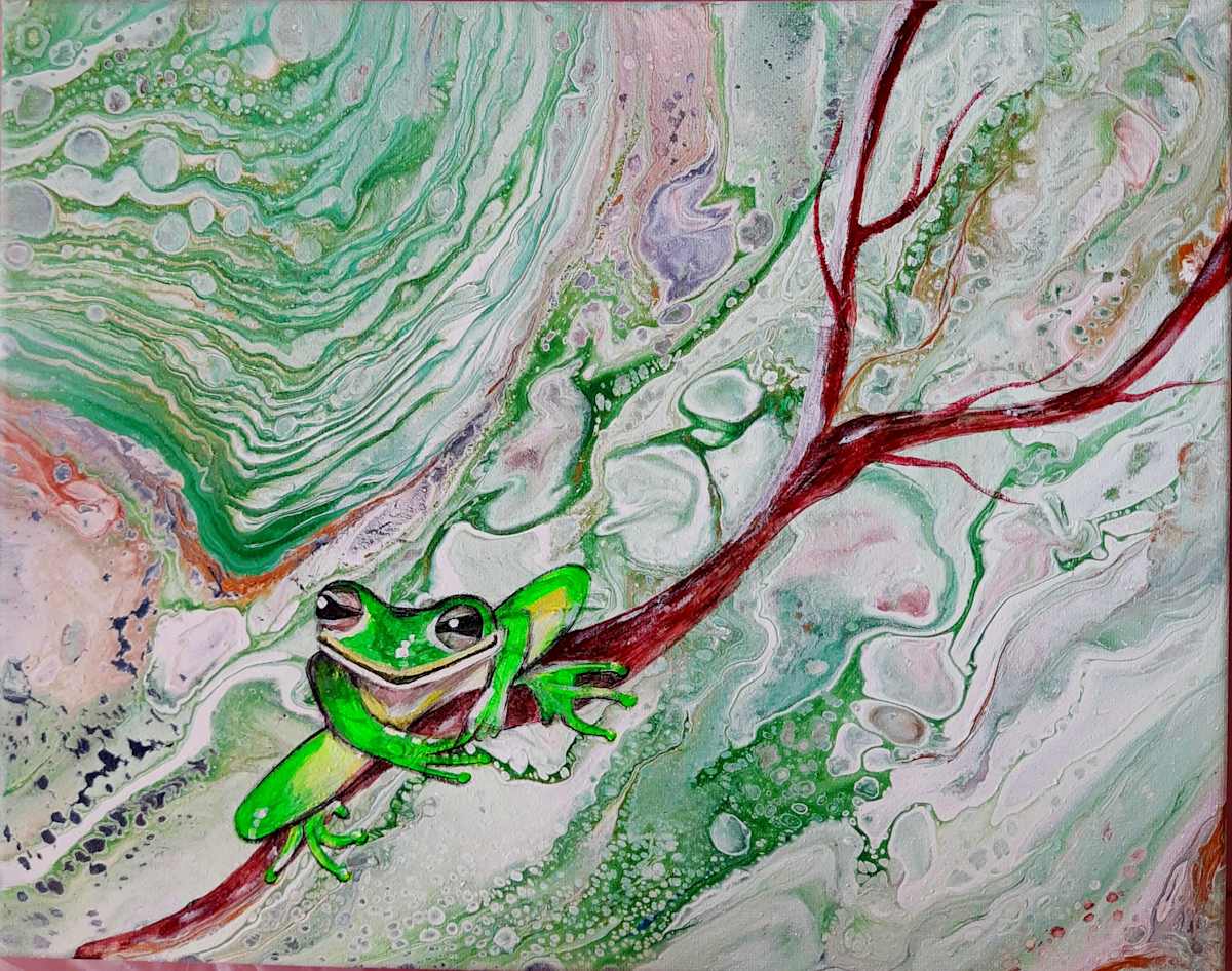 Litoria Caerulea by Jana 