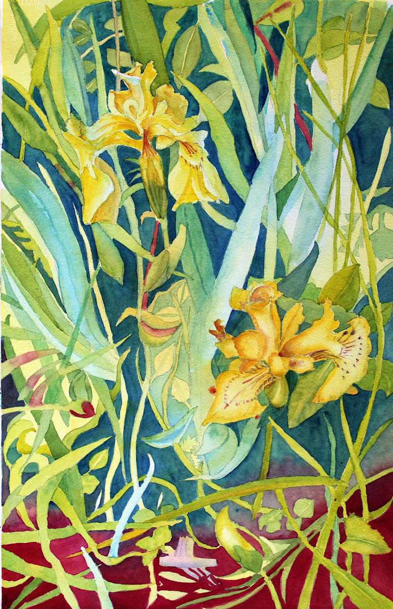 Iris, Entangled by Hana Aviv, Image 1.