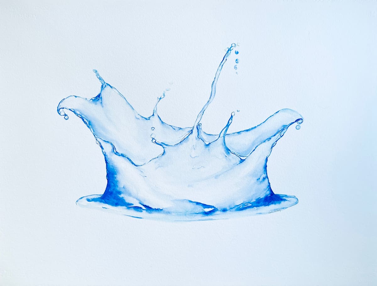 Silly Splash - a splash with a sense of humor by Tracy McCarty 