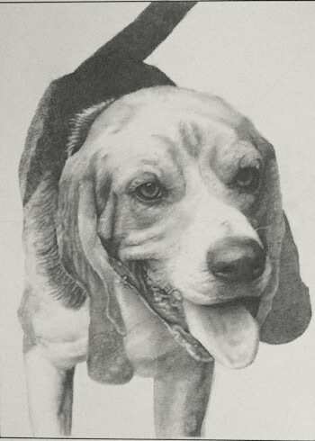 Boomer by Sammy Watson  Image: Boomer - Original Artwork
19" in x 14" in
Graphite on Drawing Paper