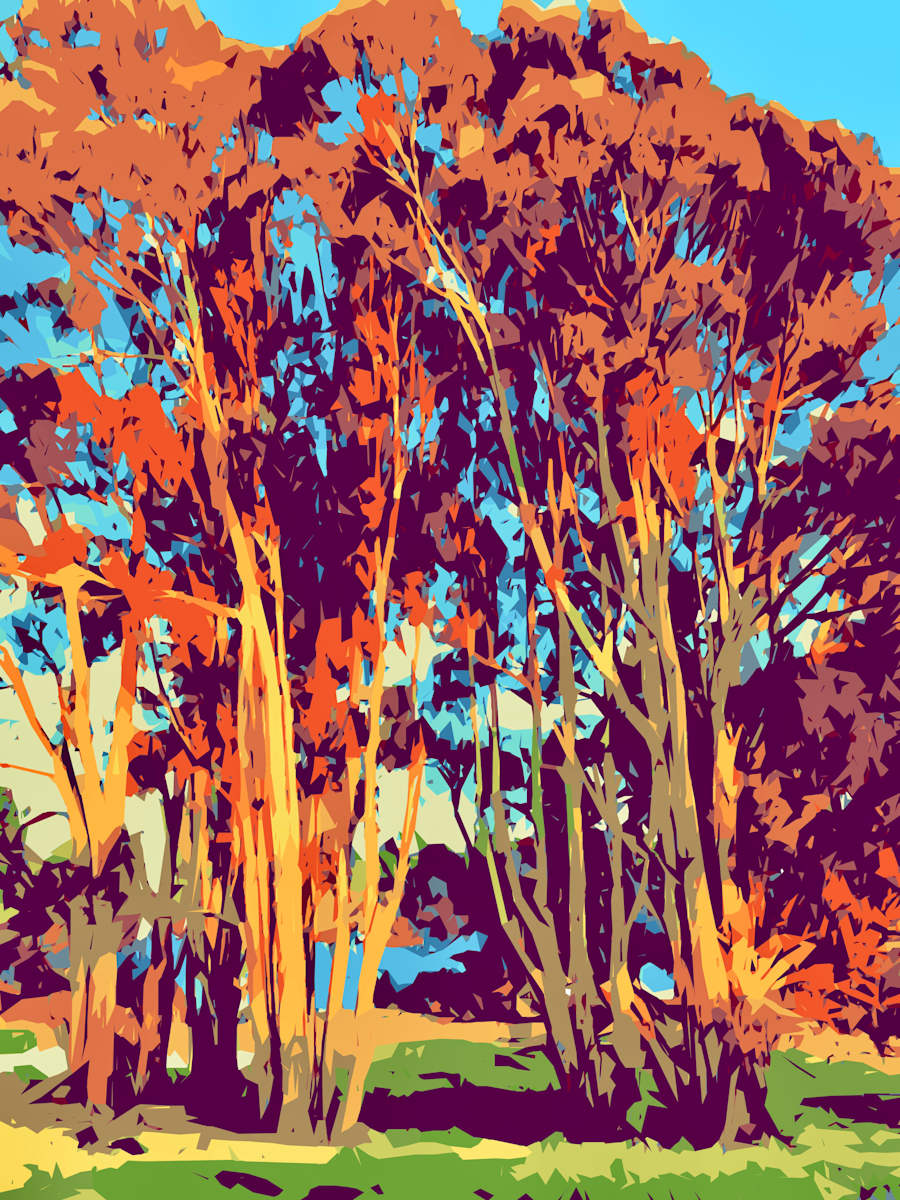 Eucalyptus Trees at Albany Bulb by Marni Rothman 