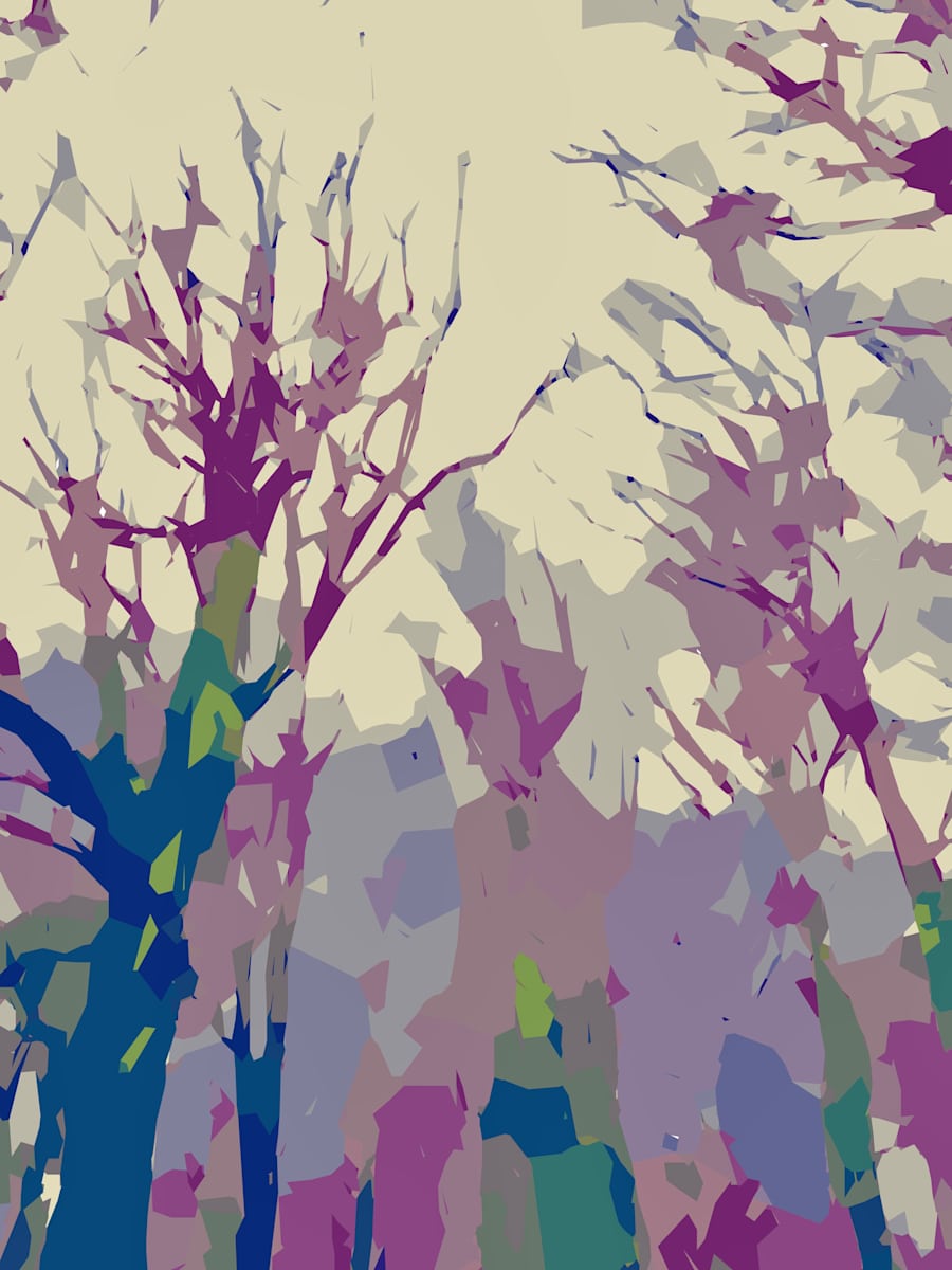 Trees in County Clare by Marni Rothman 