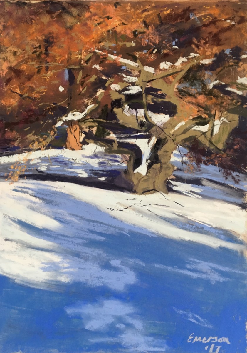 Winter Tortuosa by Anne Emerson 