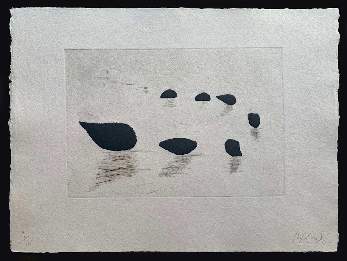 Sin Título by Miquel Barceló, Image 11.