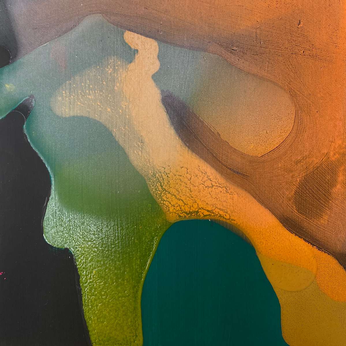 Small Study #4 by Steven J Cabral 