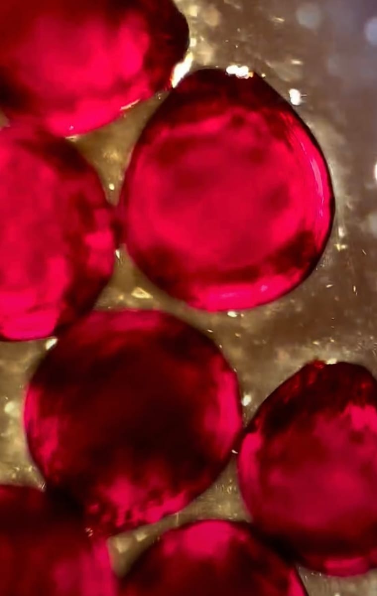 Macro 92 by Robin K. Moore 