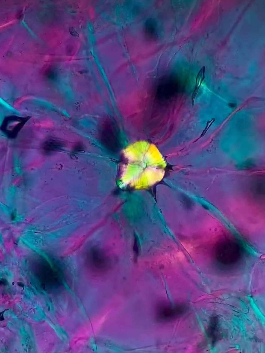 Macro 78 by Robin K. Moore 