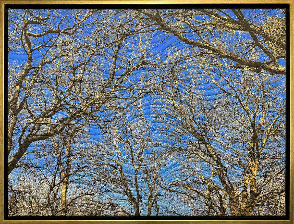 Winter Sky Texas by Marilyn Henrion 