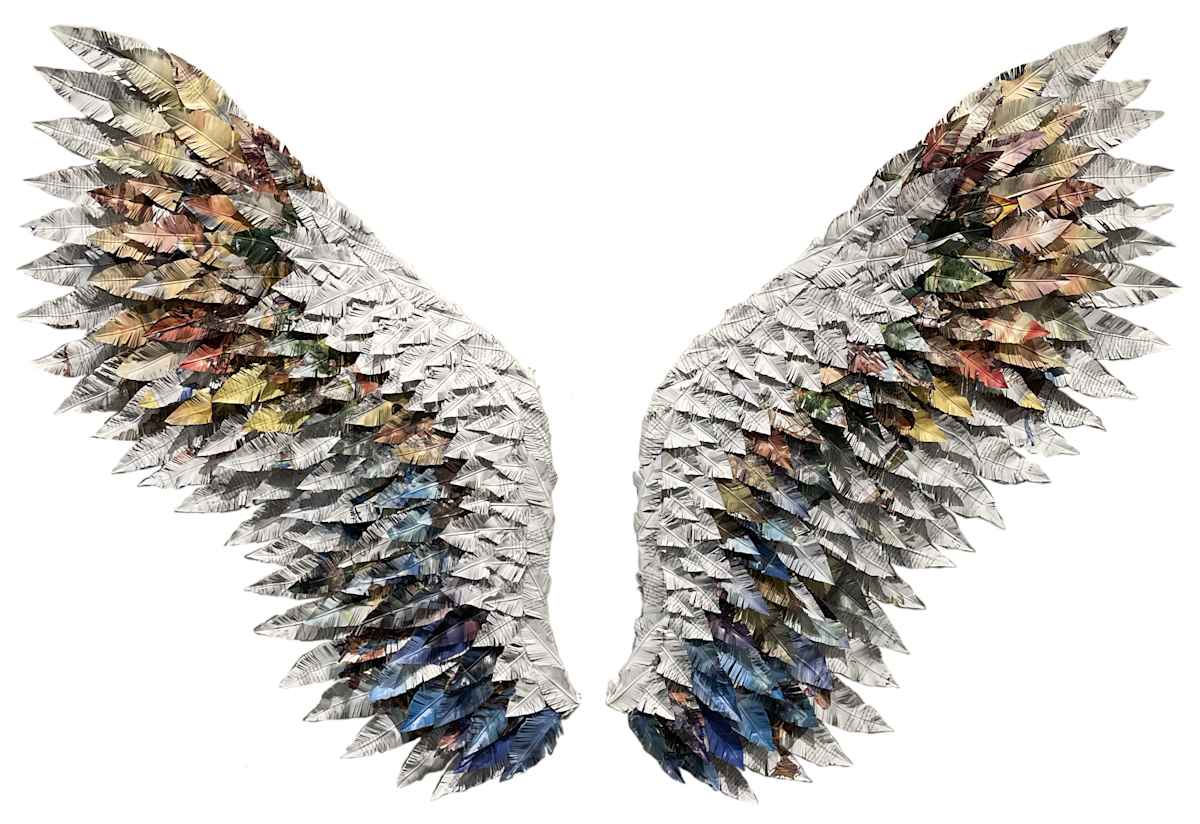 How I Learned to Fly by Ashley Delaney, Image 1.