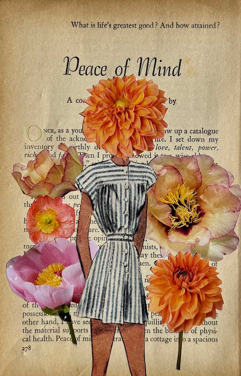 Peace of Mind by Ashley Delaney 