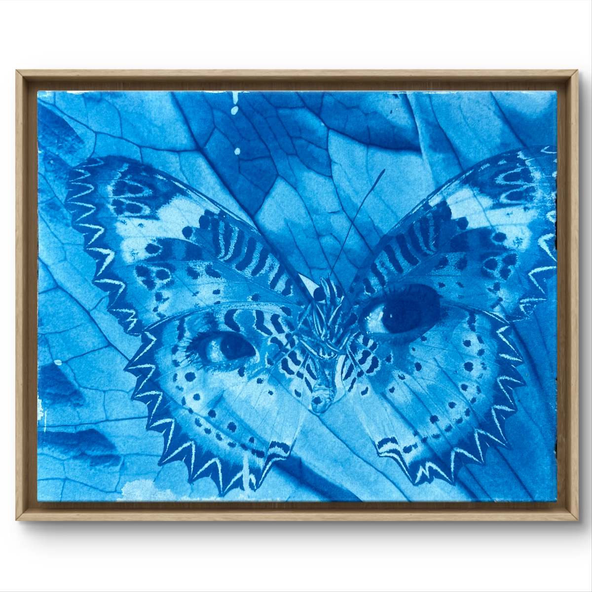 Meditation Migration by Laura Gatto, Image 1.