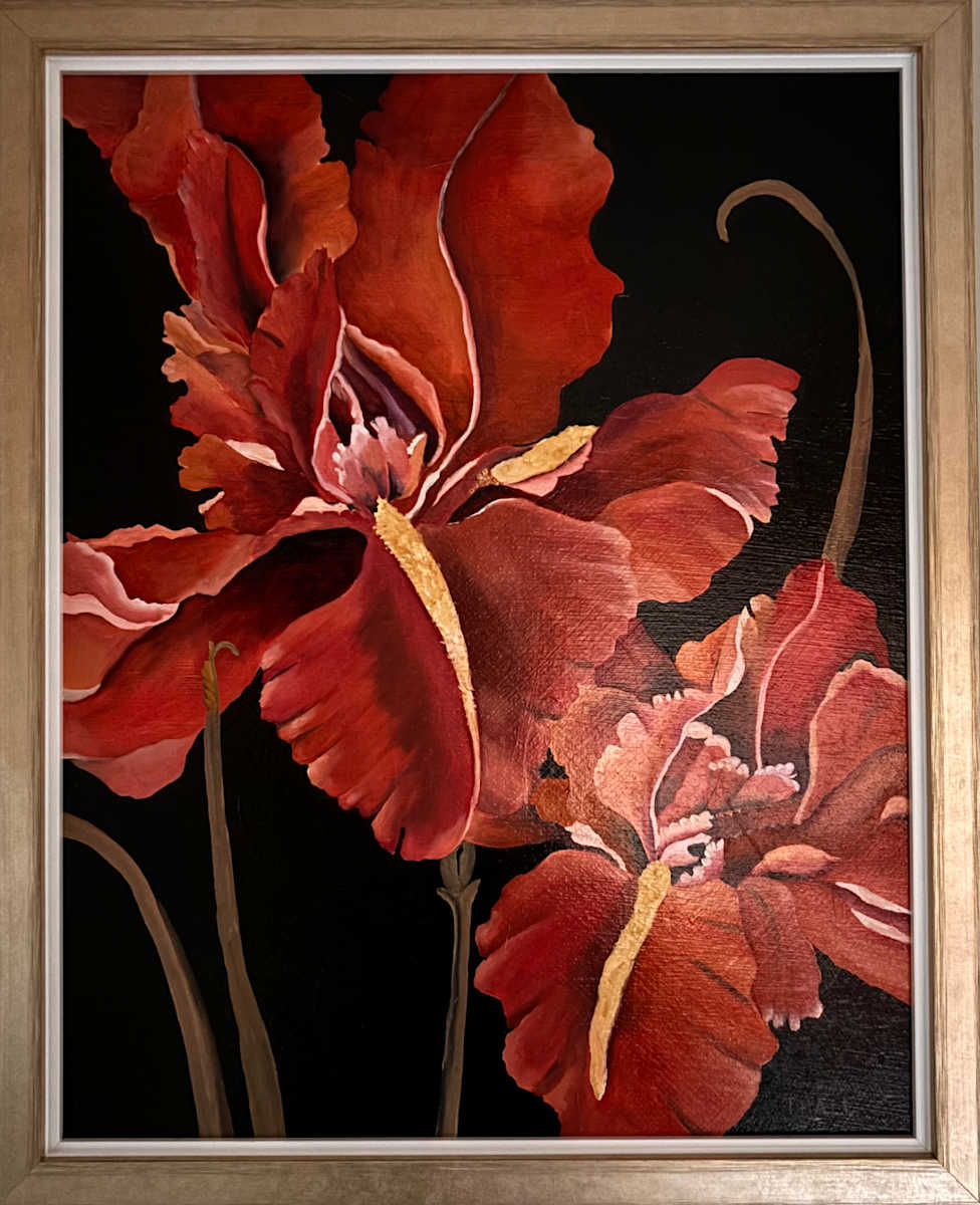 Iris by Tobie Hall 