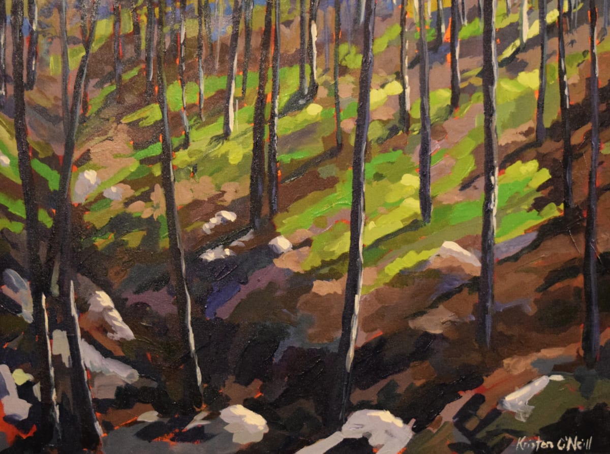 Green on the Hillside (2) - Archie Creek Fire, Umpqua National Forest by Kristen O'Neill 