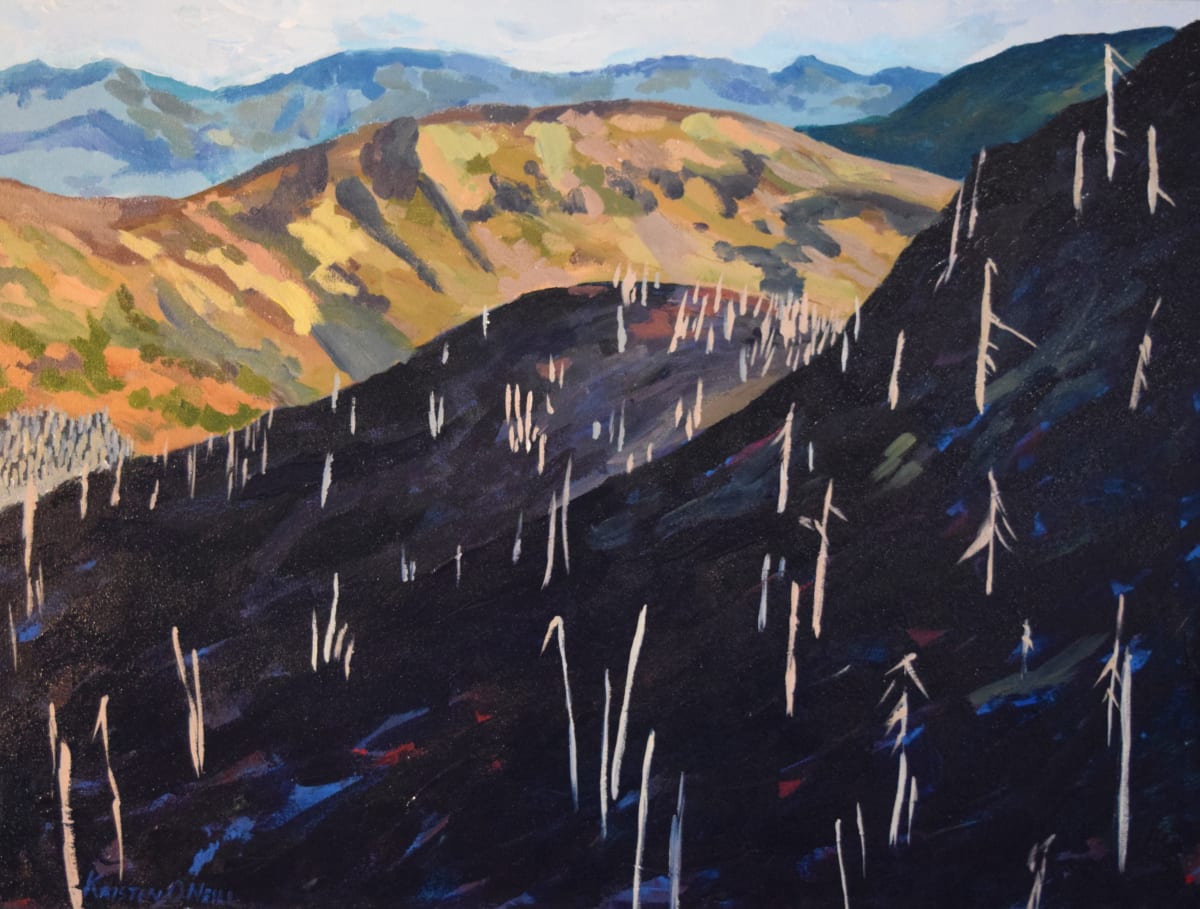 Black Hill - Biscuit Fire, Kalmiopsis Wilderness by Kristen O'Neill 