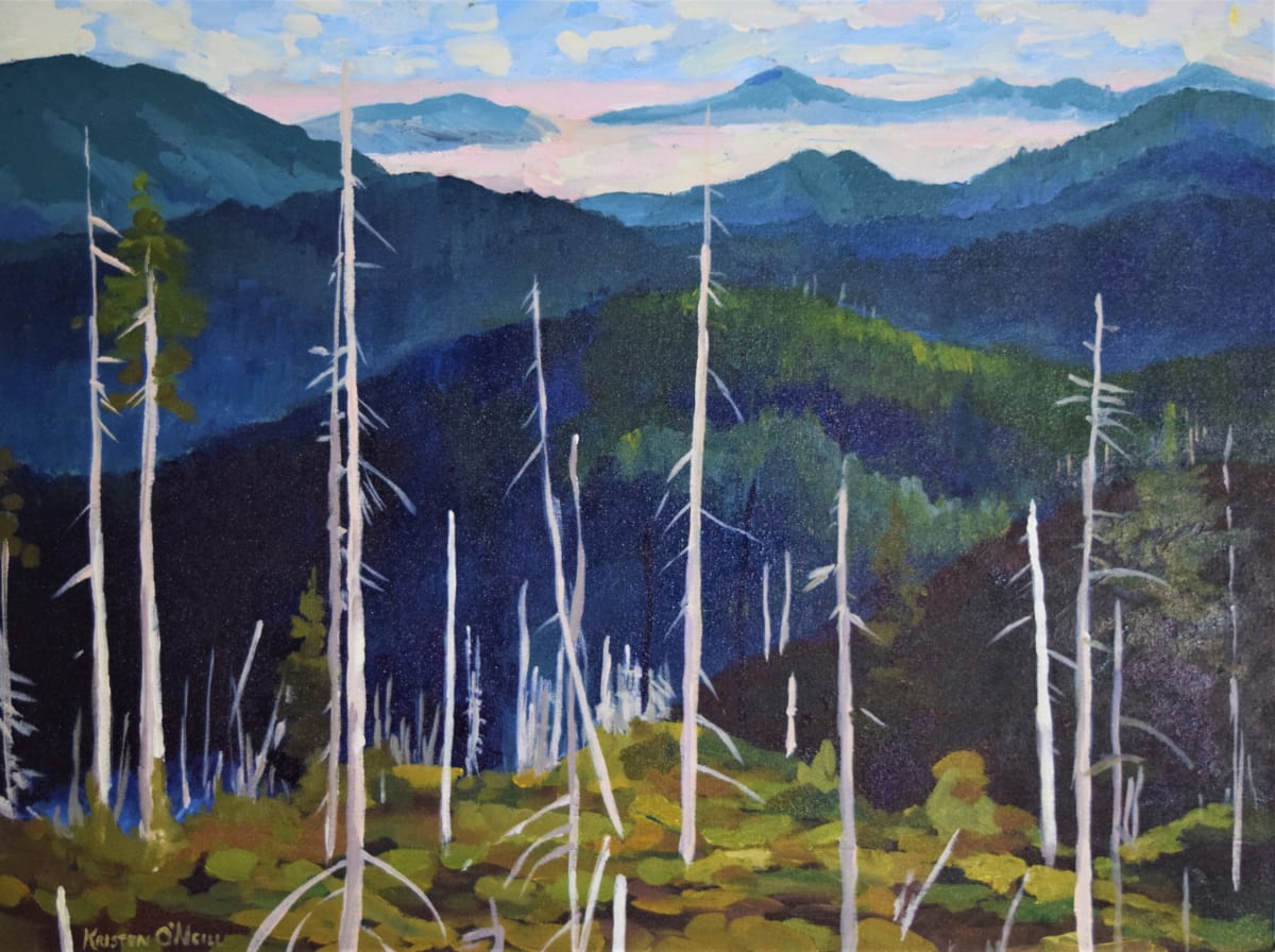 Snags and Survivors - Kalmiopsis Wilderness by Kristen O'Neill 
