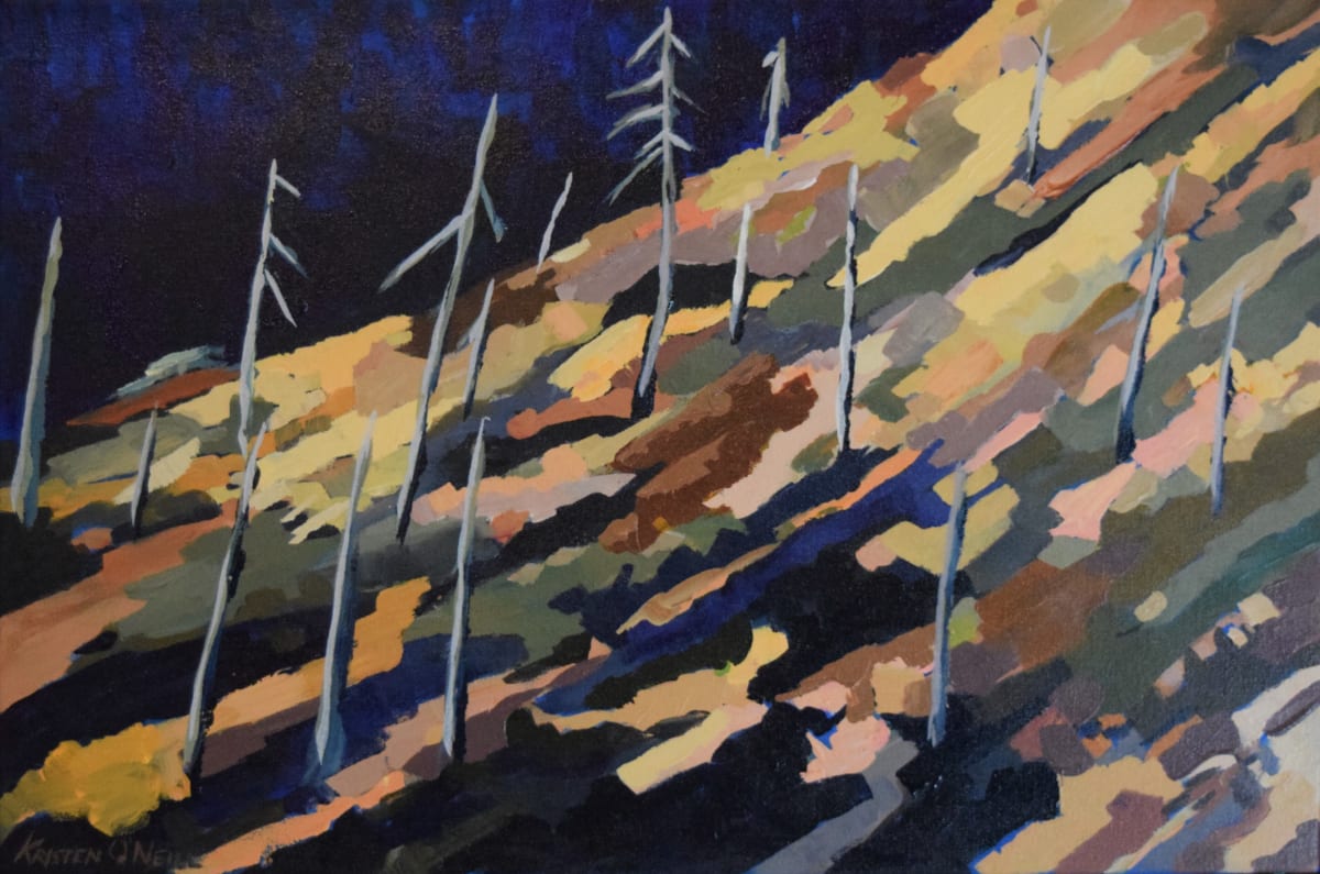 Chetco Bar Fire - Kalmiopsis Wilderness by Kristen O'Neill 