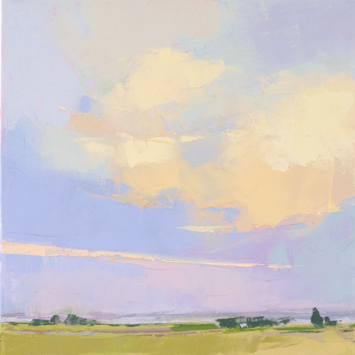 Commission Landscape 4 by Brianna Custer 