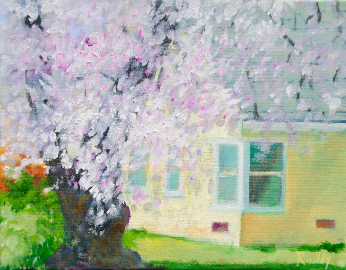 Ancient Almond by Sally Ruddy, Image 1.