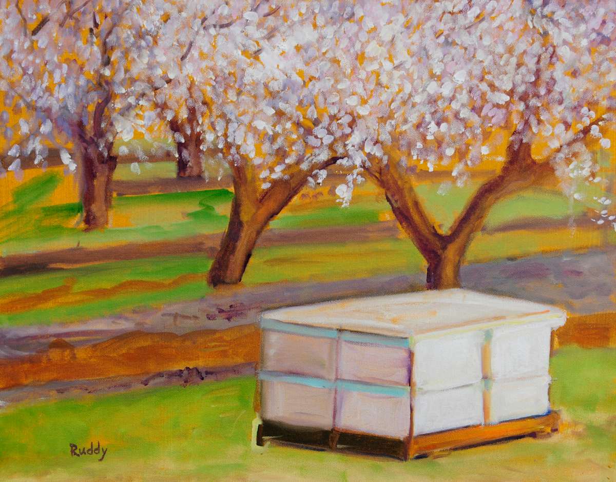 Bee Boxes by Sally Ruddy, Image 1.