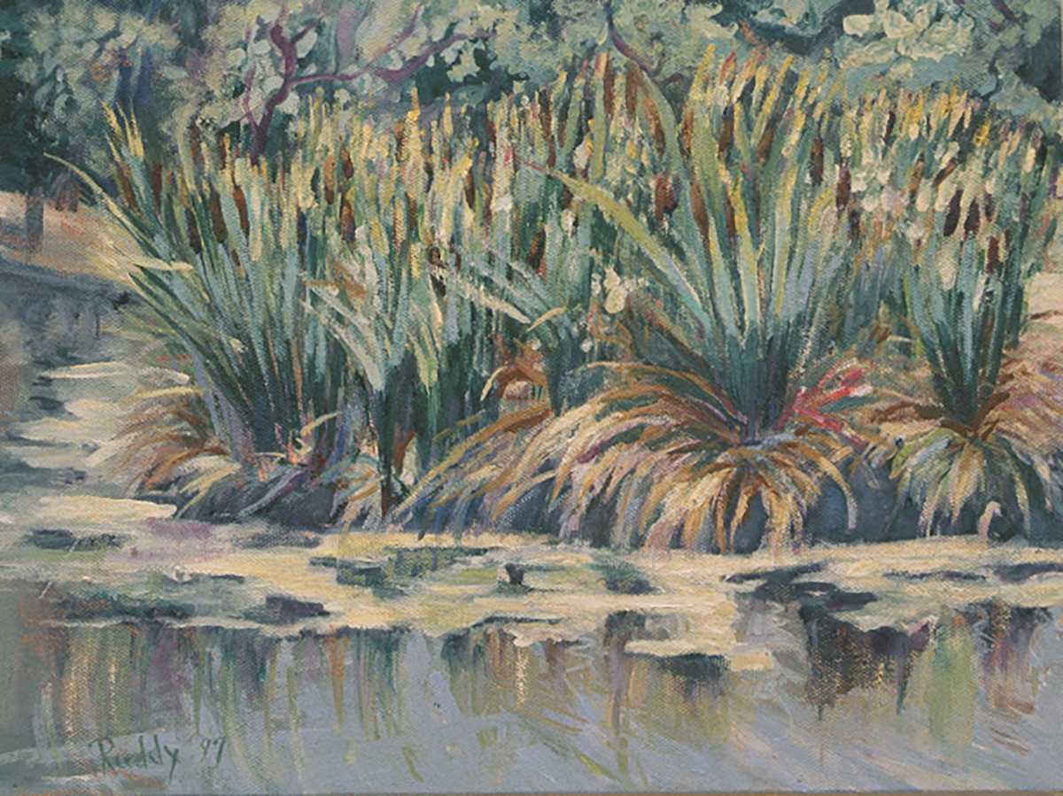 Cattails by Sally Ruddy, Image 1.