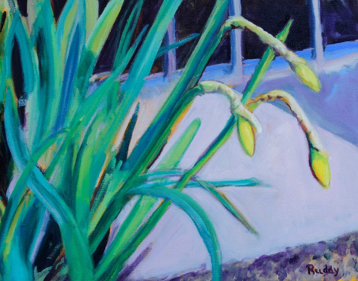 Daffodils by Sally Ruddy, Image 1.