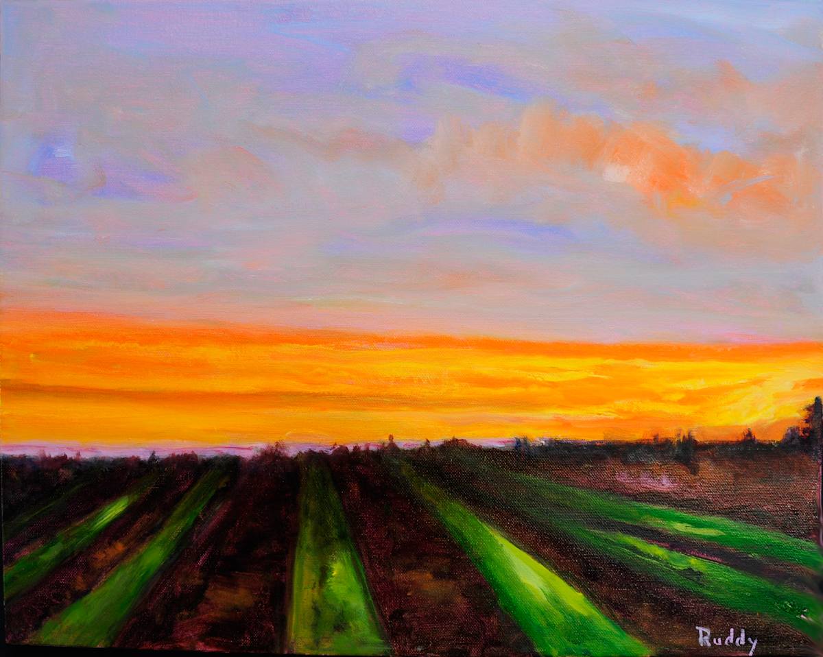 Fiery Sunrise by Sally Ruddy, Image 1.
