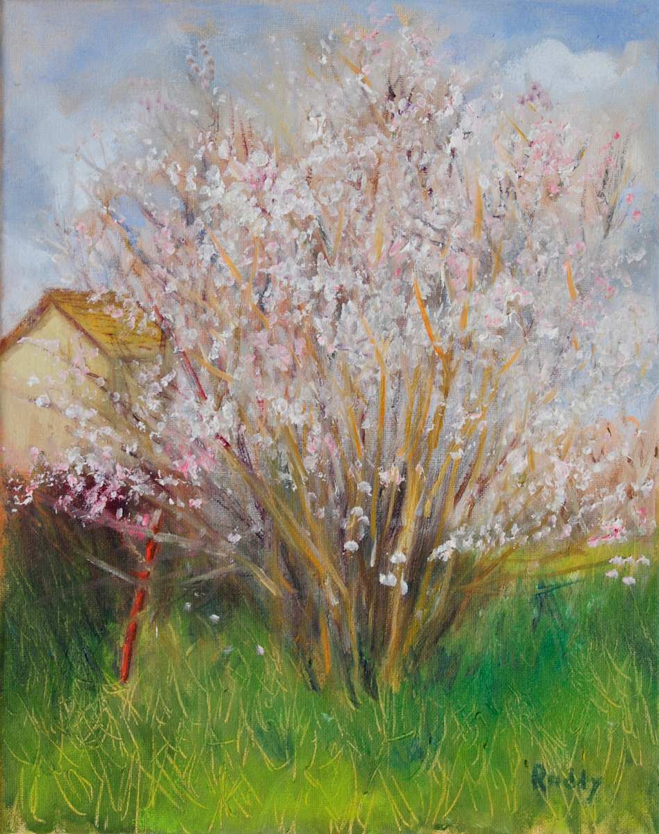 Forgotten Fence Post by Sally Ruddy, Image 1.