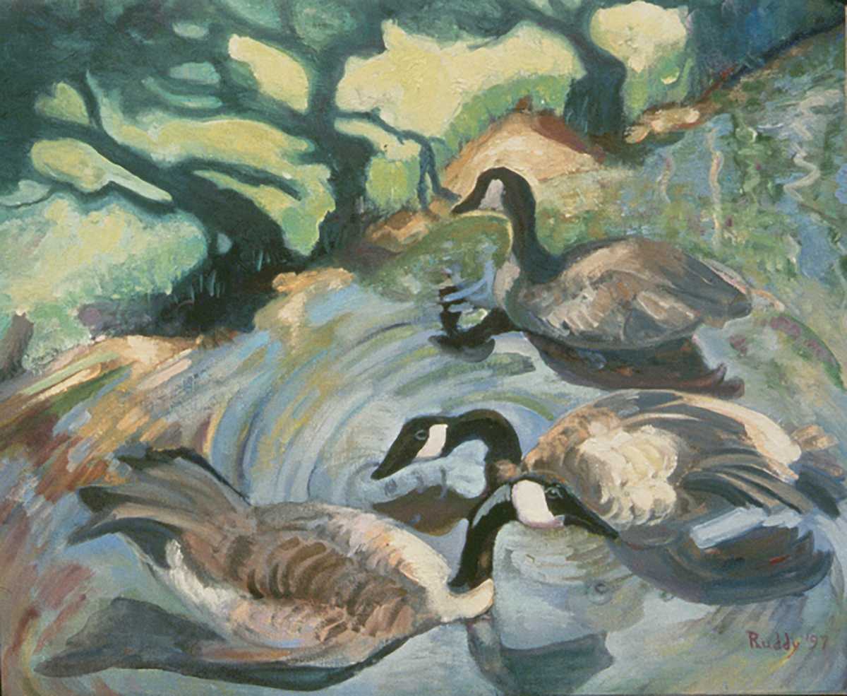 Geese and Shadows by Sally Ruddy 