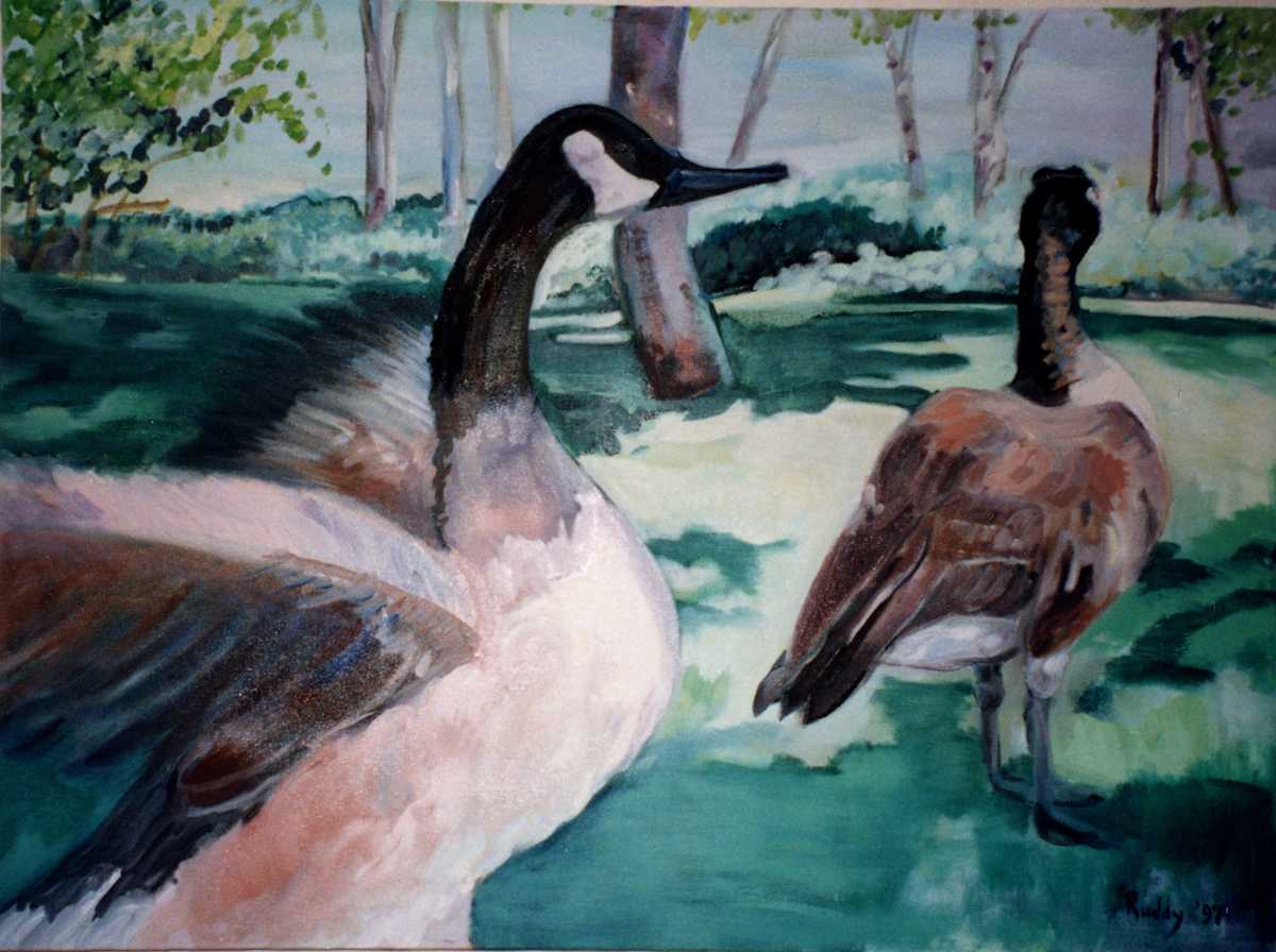 Geese at Ironstone by Sally Ruddy 