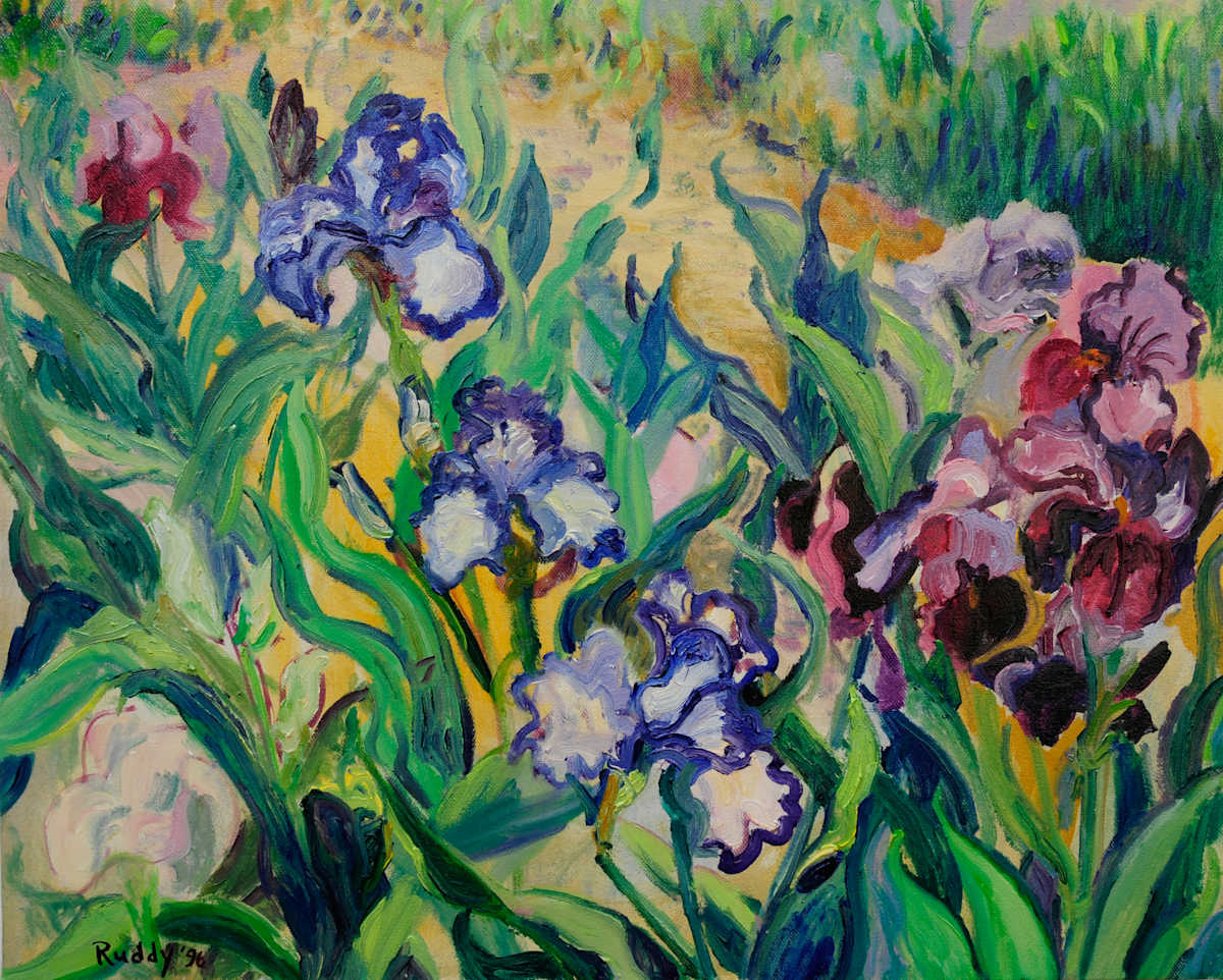Iris Garden by Sally Ruddy 