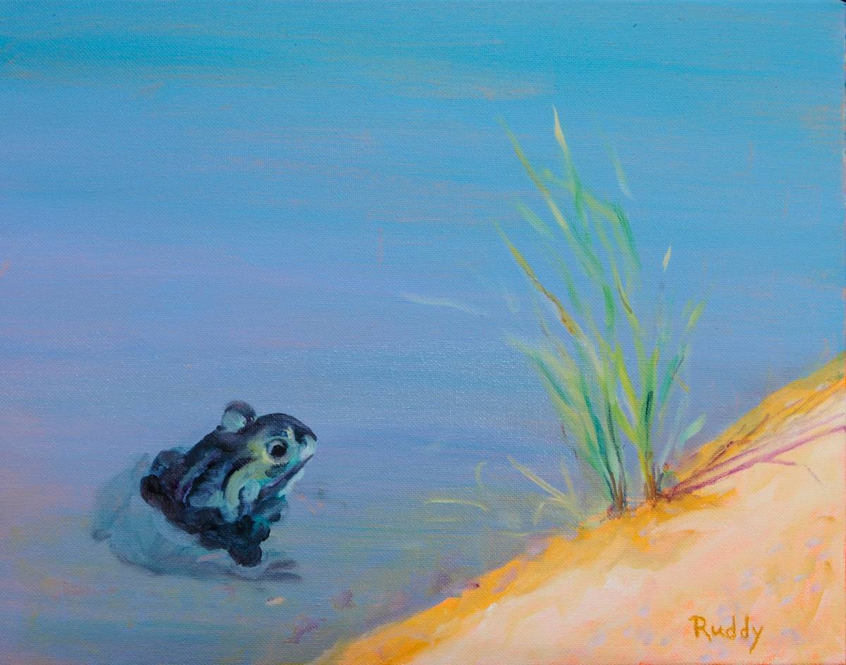 Little Frog by Sally Ruddy, Image 1.