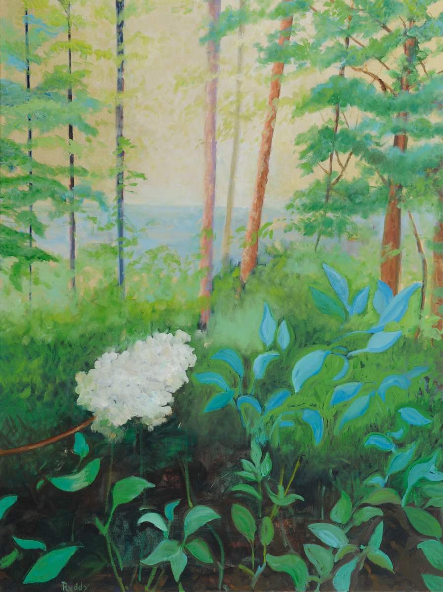 Mountain Hydrangea by Sally Ruddy 