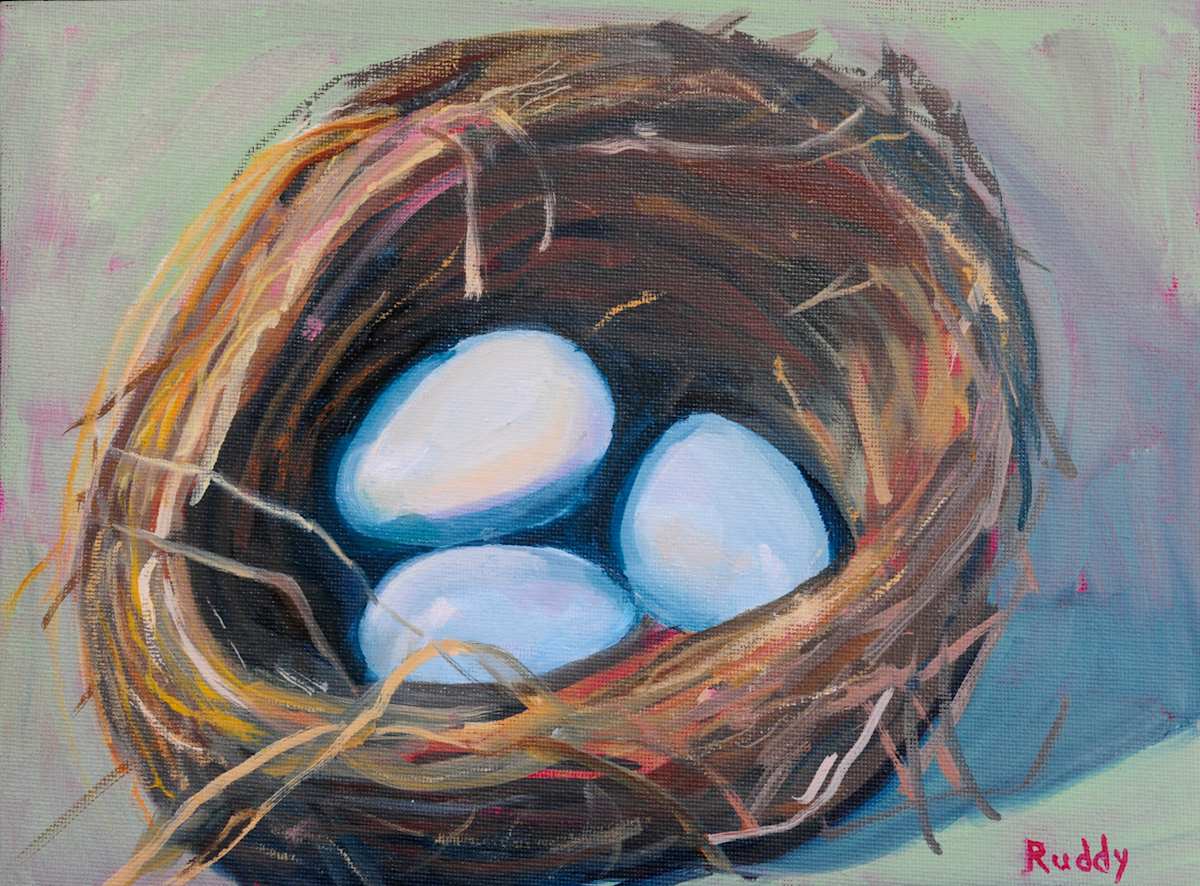 Nest by Sally Ruddy 