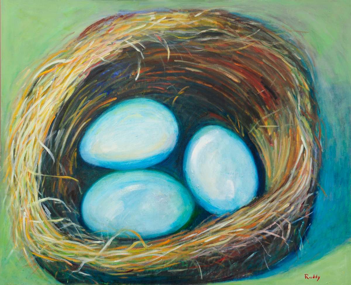 Nesting by Sally Ruddy 