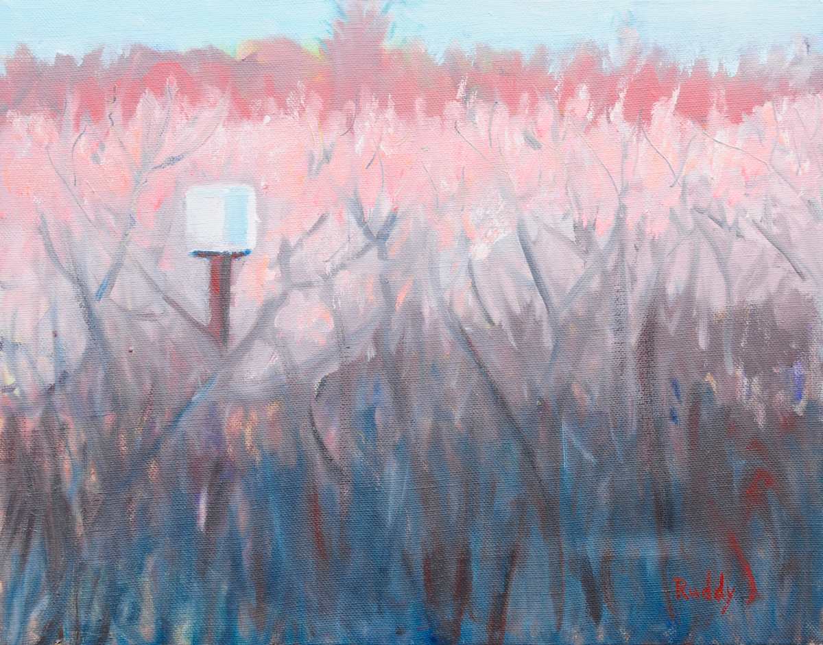 Owl Box No. 1 by Sally Ruddy 