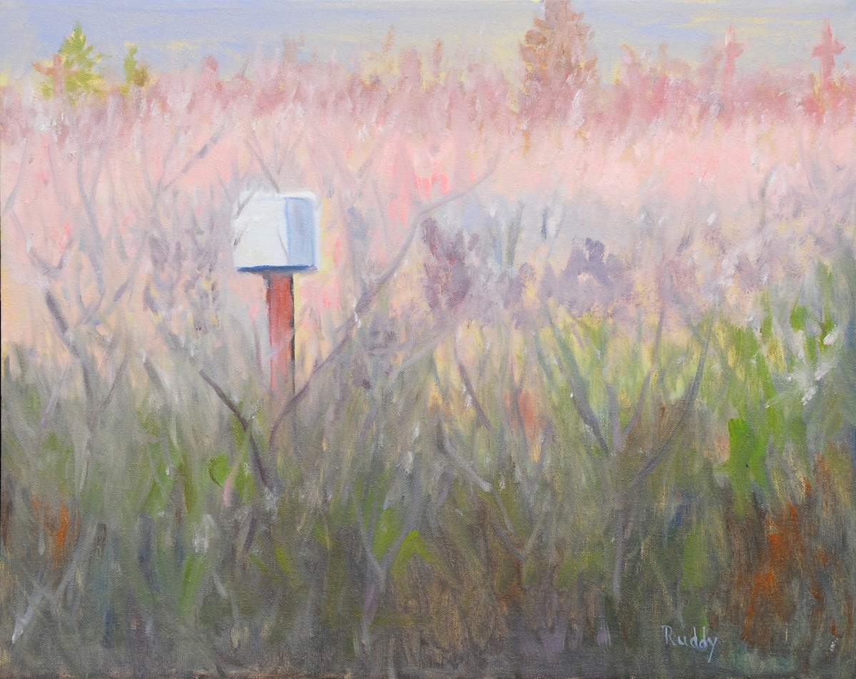 Owl Box No. 2 by Sally Ruddy 