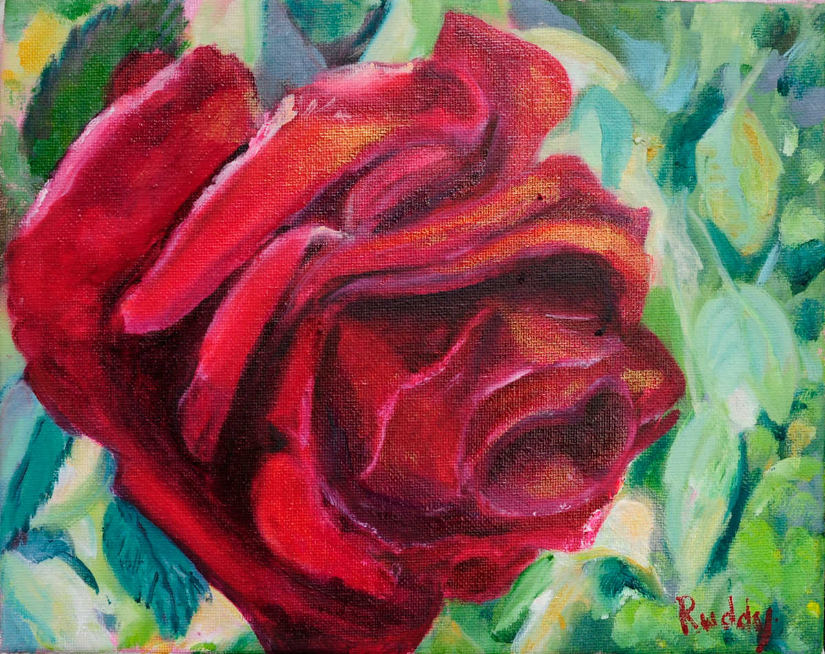 Red Velvet Rose by Sally Ruddy, Image 1.