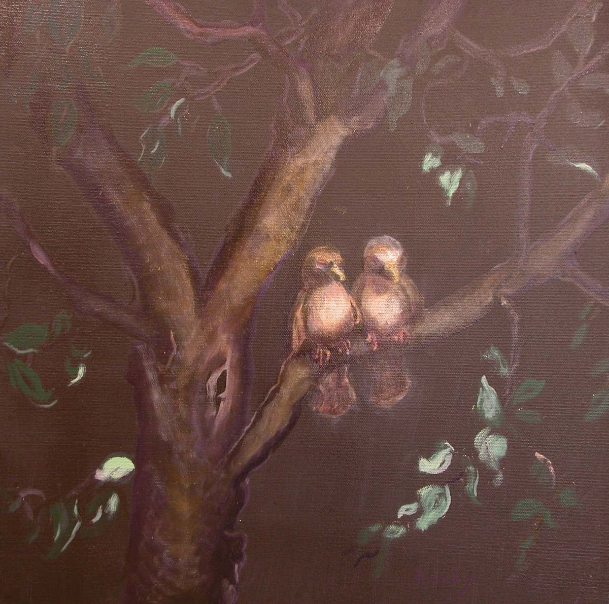Sleeping Sparrows by Sally Ruddy 