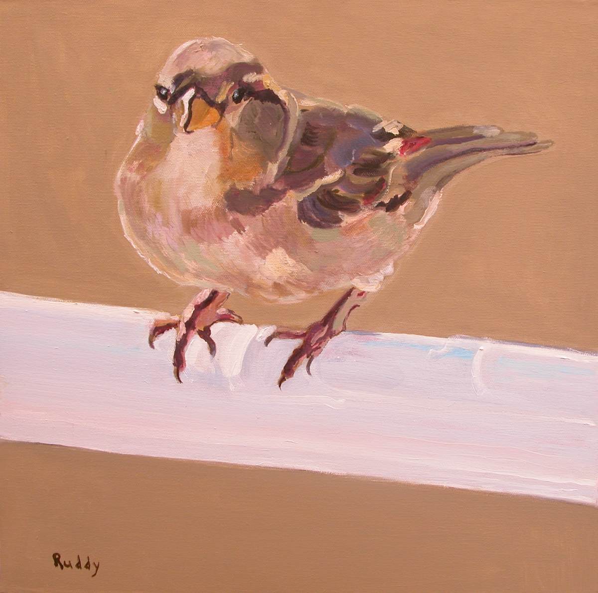 Sparrow #3 by Sally Ruddy, Image 1.