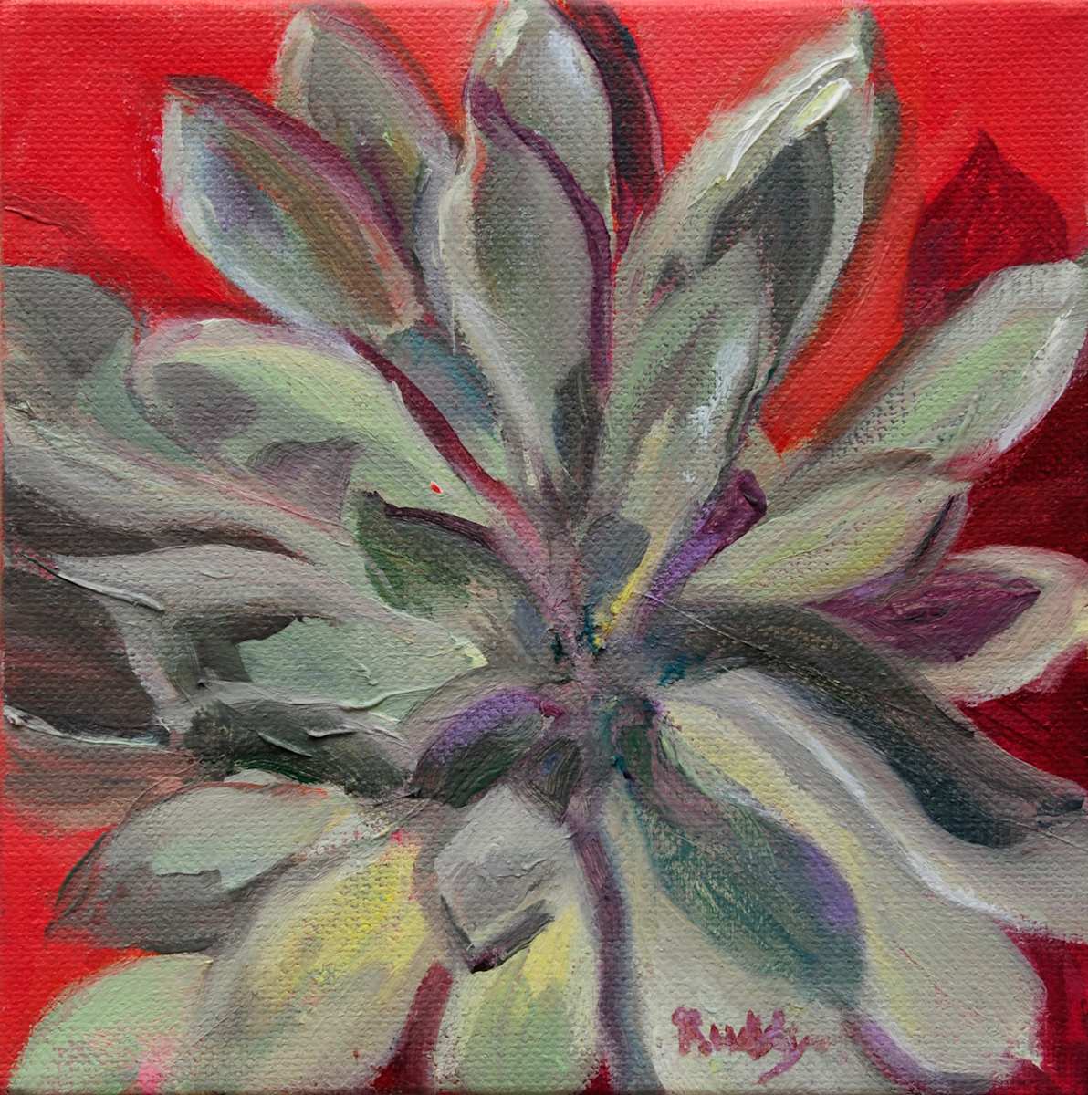 Succulent by Sally Ruddy 