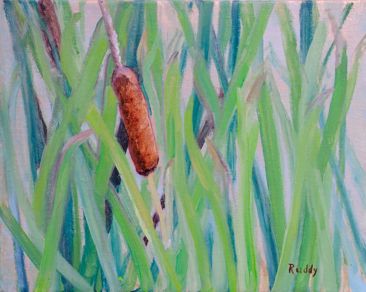 Summer Cattails by Sally Ruddy, Image 1.