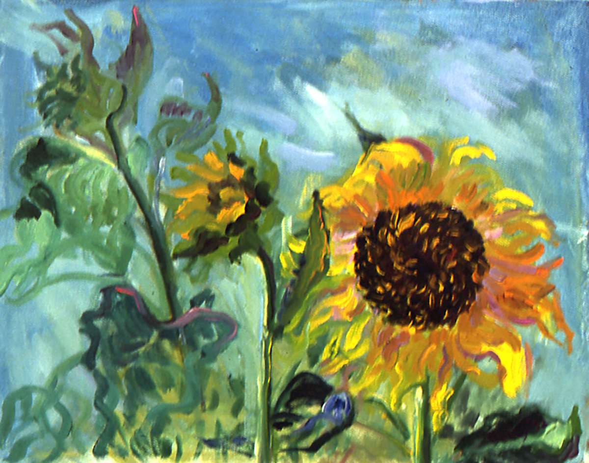 Taos Sunflower by Sally Ruddy 