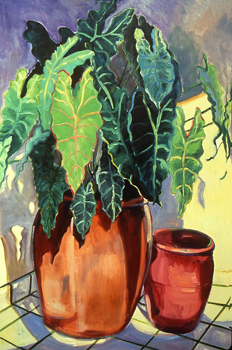 The Mother Plant by Sally Ruddy 