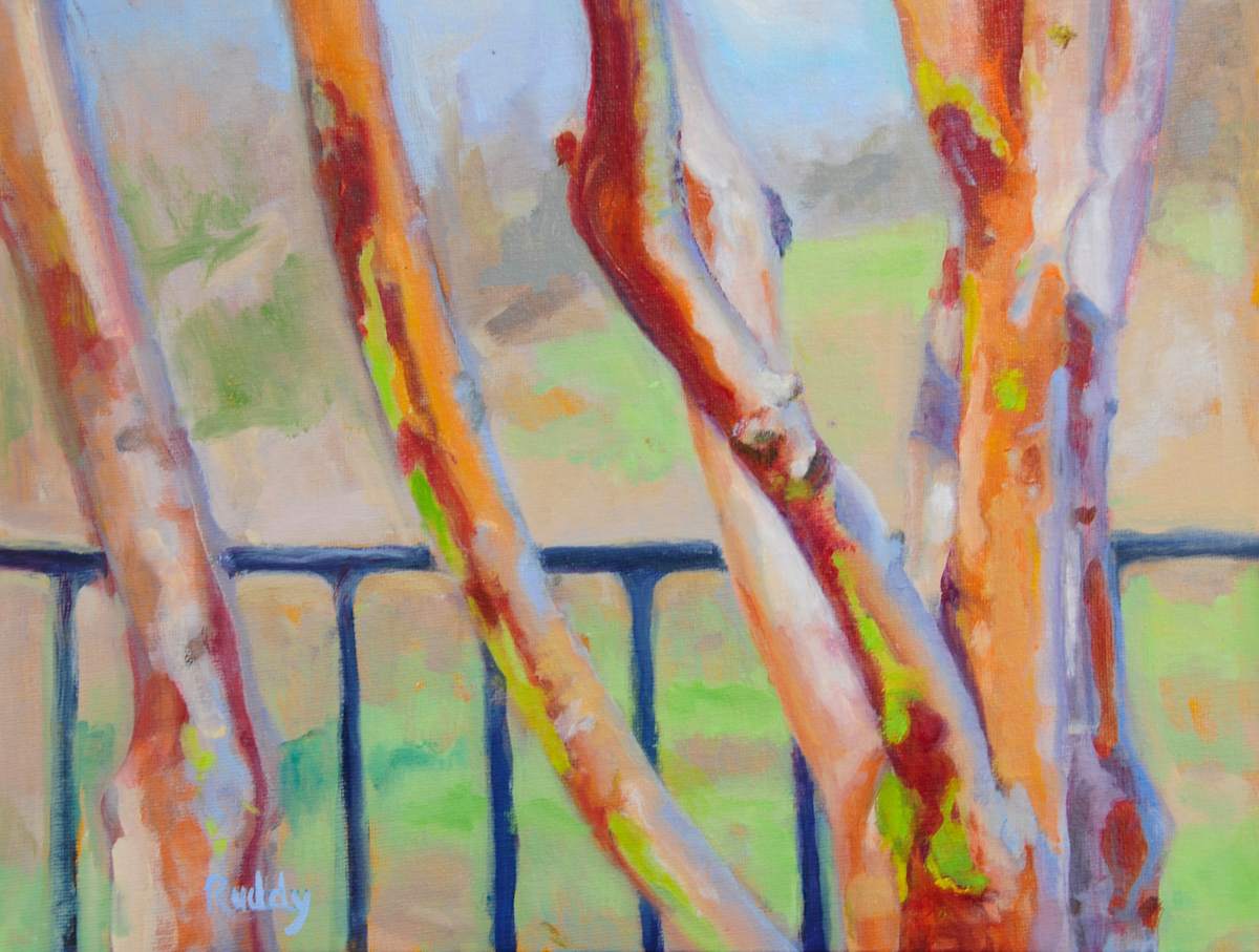 Tree Trunks by Sally Ruddy, Image 1.